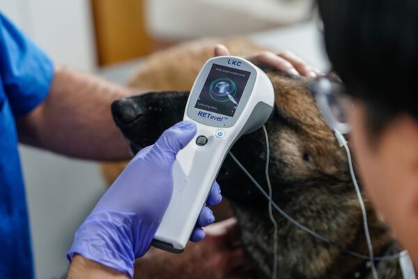 RETevet ERG test for animals